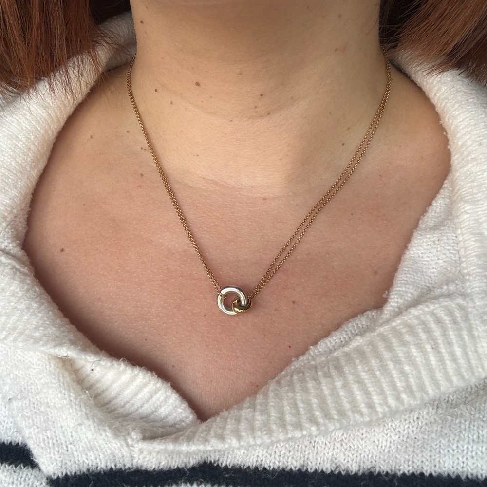Mejuri Linked Two-Tone Necklace